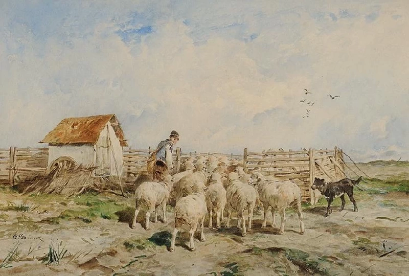 Il ritorno del gregge 1